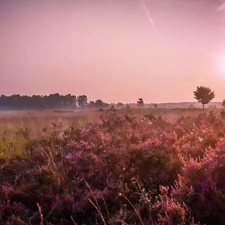 Holiday home In Near Veluwe, Cleaning Included *