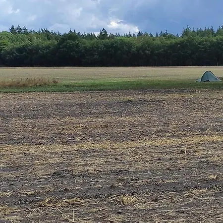 In Near Veluwe, Cleaning Included Voorthuizen