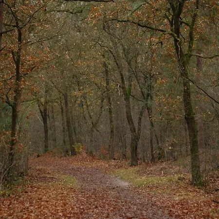 In Near Veluwe, Cleaning Included Holiday home *