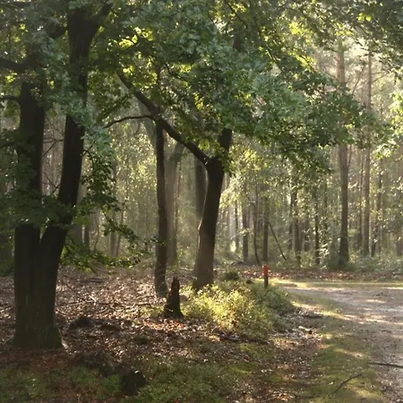 In Near Veluwe, Cleaning Included Holiday home Voorthuizen