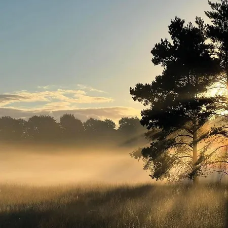 In Near Veluwe, Cleaning Included Holiday home
