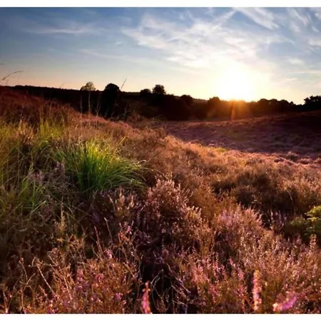 In Near Veluwe, Cleaning Included